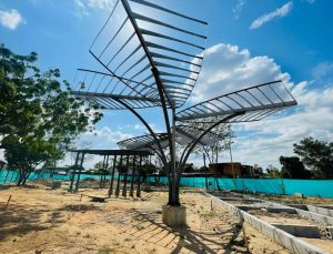 WhatsApp Image 2026-02-13 at 3.14.49 PM (1)